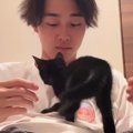 保護子猫たちが家に来てわずか"5分後"…完全に想定外な『可愛す…