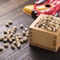 節分の豆は猫が食べても平気？注意する事とは？