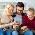 『猫の飼い方』昔に比べて変わったところ3選　食事や医療…猫を取り巻く時…