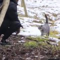 野良猫を1年半の時を経て『迎えにいった』結果…「涙が自然に流れた」…