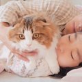 家族が寝てる間の猫を一晩中隠し撮りしてみたら…幸せすぎる光景に478…