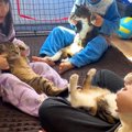 ネコを膝の上に乗せ、『手遊び歌』をする子供たち…とんでもなく可愛い『平…