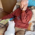ソファに座るおじいちゃんのもとに『猫』がやってくると…ほのぼのとし…