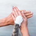 猫に対して『家族の一員になったな』と感じる瞬間3選　安心して過ごせてい…