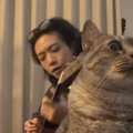 弾き語りをすぐそばで聴く猫…『AIでは？』と疑われるほど微動だにしな…