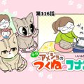 半分アメショのつくねとコナン【第116話】 「その寝顔のために」