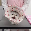 サロンに来た“ガチ噛み注意”猫→プロの先生の手にかかった結果…感動の…