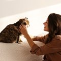 猫がすぐに『好き認定』する人の特徴3つ♪他の人と特別違うことってな…