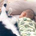赤ちゃんがお昼寝していると、そっと猫がやって来て…『泣けるほど愛おしい…
