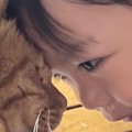 猫が暮らす実家に赤ちゃんを連れて行くと…仲良しすぎる『ふたりの様子…