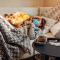 猫が相手に『気遣い・遠慮している』ように見える行動3選　実際のとこ…