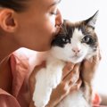 愛猫を好きすぎて『ついやってしまうNG行為』3選　“毒飼い主”にならな…