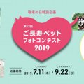 シニアの猫ちゃん集まれー！ご長寿ペットフォトコンテスト