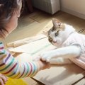 お世話を焼きたいお年頃の女の子→猫に絡みに行ったら…あまりにも尊い…