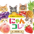 猫好きさんにおすすめ『にゃんコレ』第５弾が登場！