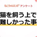 【アンケート実施中！】猫を飼う上で「難しかった事」について