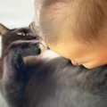 赤ちゃんが初めて『猫吸い』をしたら、兄猫の反応が……予想外の『優し…