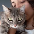 猫の体から『いいニオイ』がする理由3つ　お風呂に入らなくても臭くな…