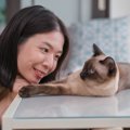 猫には『赤ちゃん言葉』で話すといいって知ってた？考えられる4つのメ…