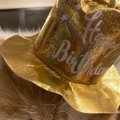 愛猫の１歳の誕生日→盛大に祝おうとパーティーをしたら…ネコが見せた『ま…