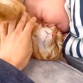 赤ちゃんにほっぺを食べられた猫→急いで止めに入った結果…想定外な『まさ…