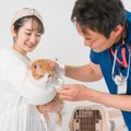 猫が『入院することになる』4つの原因　治療や検査が必要なケースとは…