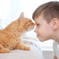 猫が懐かないのは第一印象のせい！？好かれるためのテク6選