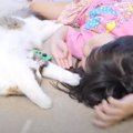 子猫と幼い娘が『仲良く遊んでいる様子』をまとめてみたら…尊すぎる光…