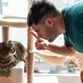 猫が飼い主に『冷めてしまう』ときの原因3選　失った信頼を取り戻す方法は…