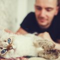 あなたは大丈夫？猫を不幸にする飼い主４パターン