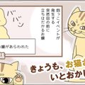 きょうも、お猫さまはいとをかし。【第46話】「激アツイベント」