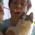 猫にとっては毒になる！絶対『与えちゃダメな人間の食べ物』ランキン…