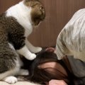 ママさん起きてよ！構ってほしくて起こそうとする猫さん！