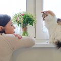 猫は『外見』で人を見分けられる？判別するために使っている3つの能力…