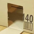 手作り段ボールハウスが完成→猫のことを呼んでみると…微笑ましい光景に癒…