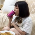 「この世の終わりみたいな顔ｗ」猫が酔っ払ったママに絡まれた結果…爆笑の…