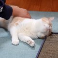 連休明けの朝、女の子が学校に行こうとすると…絶対に逃れられない『甘えん…