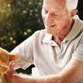 老夫婦が作り上げた「老猫たちの最期」をおだやかに看取るための住まい　…