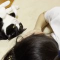 娘のことが気になる猫たち→近くにやってくると…あまりにも尊い『愛情表現…