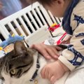 猫のそばにいた赤ちゃんが次の瞬間…育児してなかったら『一生言わなか…