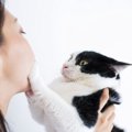 猫に『頼りにされていない』飼い主の特徴５つ