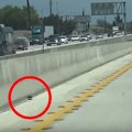 【超絶危険】高速道路になぜ？走行車線の子猫をレスキュー！