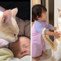 赤ちゃんを1年間見守ってくれた子猫…愛を感じる『温かな成長の記録』…