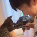 お兄ちゃんが宿題をしていると、『子猫』が…"かわいすぎるやり取…