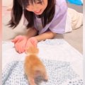 おうちに迎えて7日目の子猫→女の子がお世話をして…心温まる『優しさの詰ま…