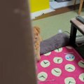 疲労困憊で帰宅した飼い主→部屋の中を覗いたら…『さらに疲労を感じていそ…