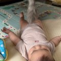 しっぽを器用に動かして『赤ちゃんと遊んであげる猫』…驚きの光景に「ちゃ…