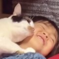 長男のことが大大大好きな『三毛猫』→寝る前になると…想像を超えてく…