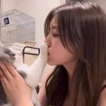 『キスを拒否してくる猫』に何度も挑戦した結果…攻防の様子が可愛すぎ…