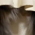 窓の外を眺める2匹の猫→カーテンの下から『しっぽ』が出ていて…可愛す…